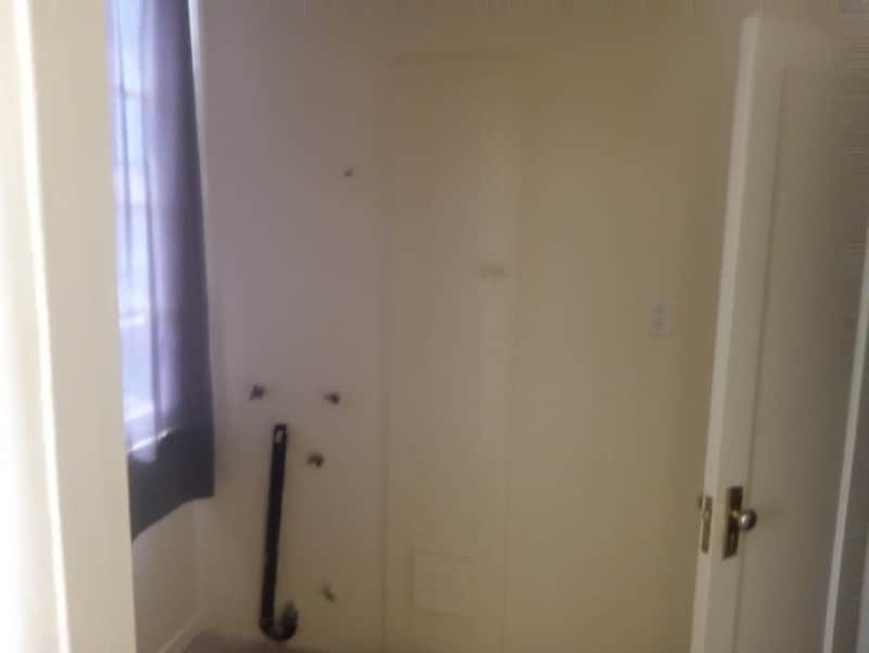 Photo - 4721 S Budlong Ave Apartment Unit A