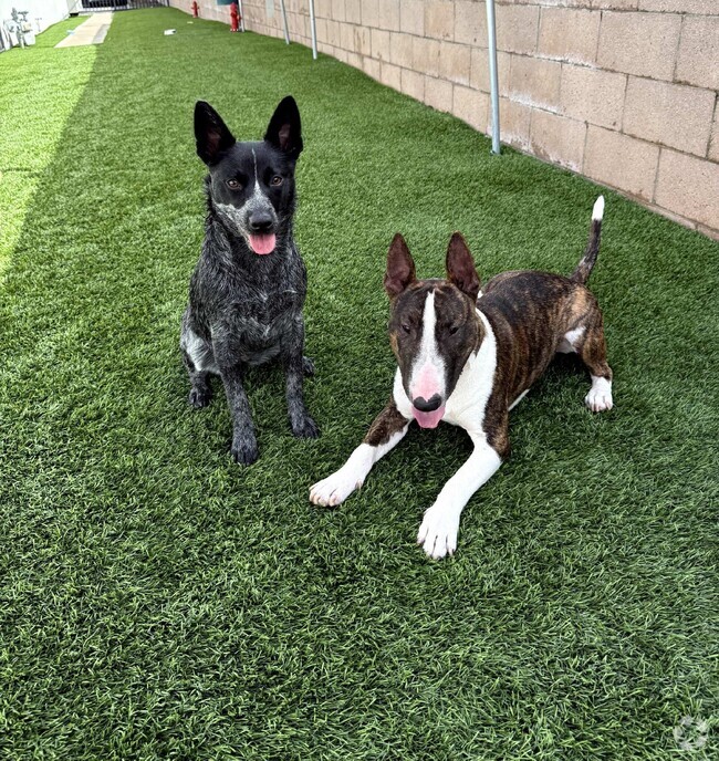 Pet Friendly with Dog Run - Chateau De Ville Rental