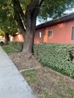 Photo - 1266 W Stoneridge Ct Unit 1