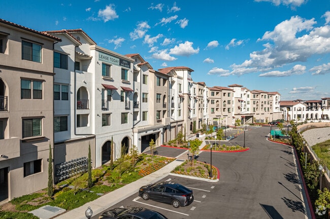 Photo - Vineyards