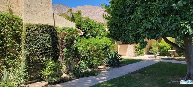Photo - 2600 S Palm Canyon Dr Unit 20