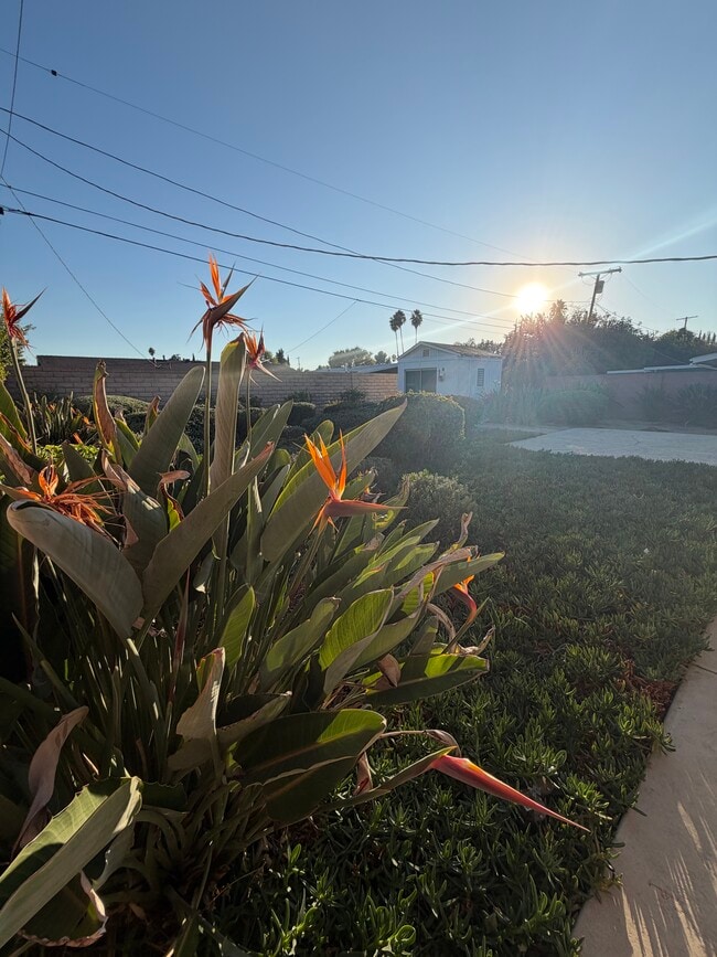 Photo - 20622 Archwood St