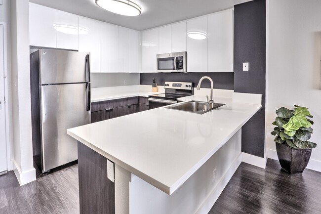 Photo - Museum Terrace