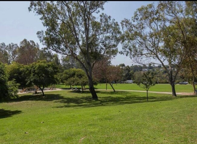 Photo - 3312 Caminito Eastbluff