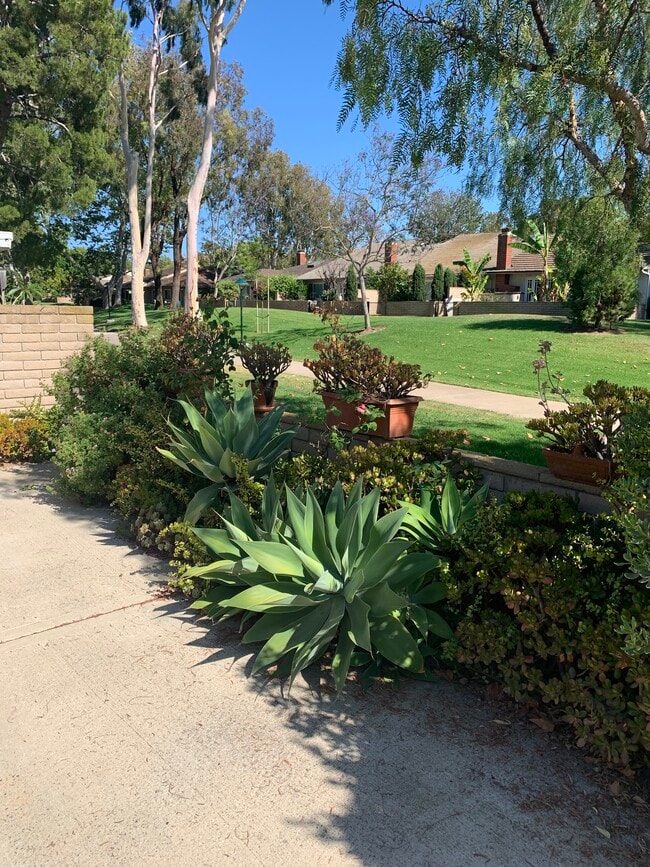 Building Photo - 5146 Maple Unit 5146 Maple Irvine CA