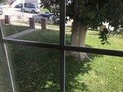Front yard window view - 2019 S Longwood Ave Apartments Unit 2019 South Longwood Avenu