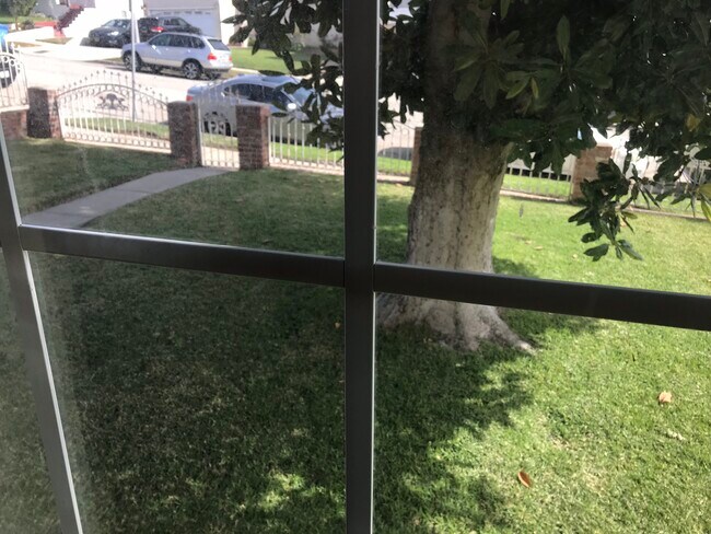 Front yard window view - 2019 S Longwood Ave Unit 2019 South Longwood Avenu