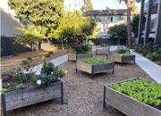 Photo - Miracle Terrace