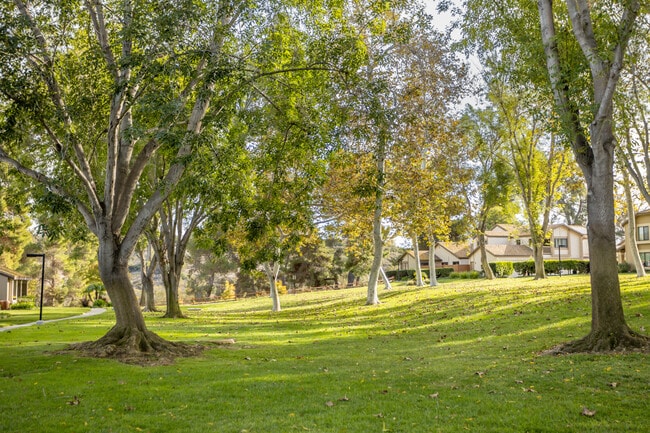 Photo - 5244 Edge Park Way