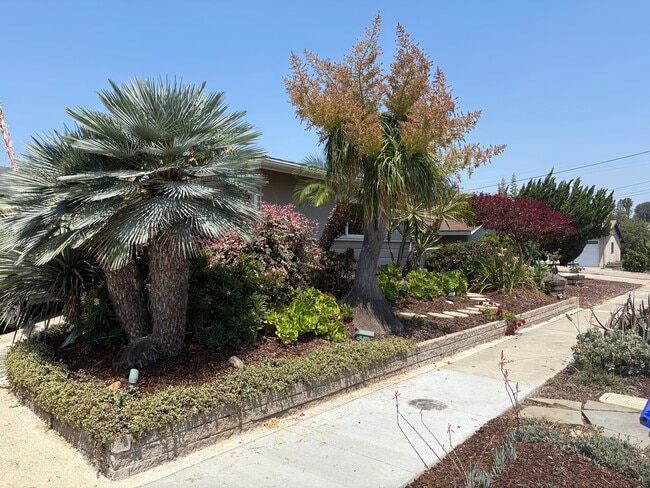 Photo - 4354 Mount Castle Ave