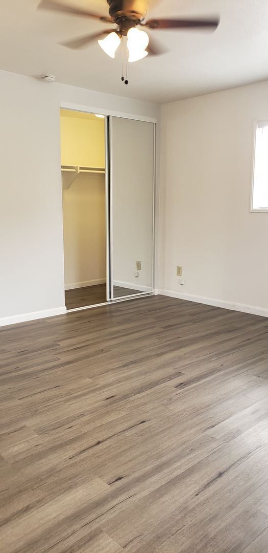 Building Photo - Studio cottage with AC! - Desirable neighborhood (Amherst)