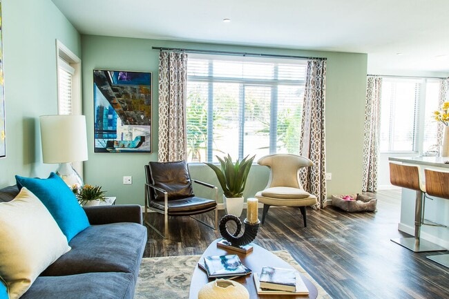 Photo - Dylan Point Loma