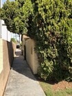 Photo - FARQUHAR 4081-4087 Apartment Unit 4087