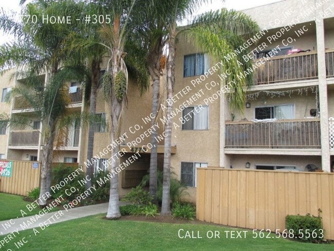 4770 Home-#305 - 4770 Home-#305 Unit #305