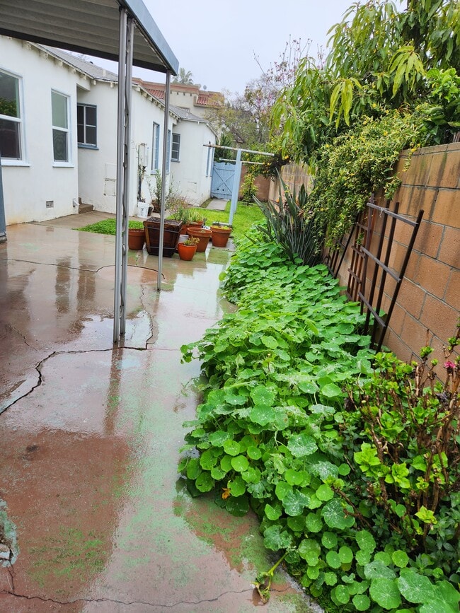 Building Photo - 12019 Ocean Park Blvd Unit 12019