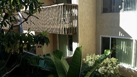 Photo - La Jolla 2bed 2bath, hardwood floors, pati...