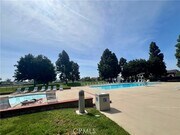 Photo - 17 Goldenrod