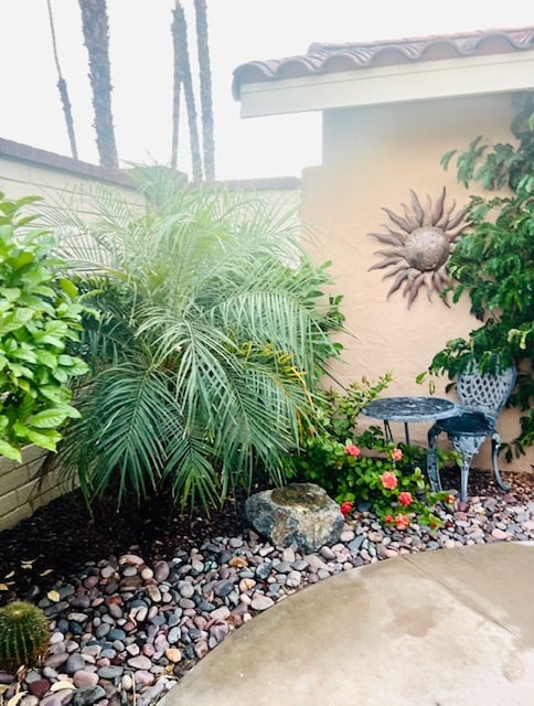 Court Yard - 326 Paseo Primavera