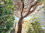 Photo - 2816 Arizona Ave Unit 6