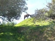 Photo - 22252 Alta Dr Unit Horse