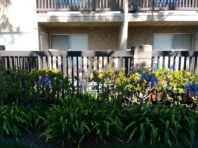 Photo - Park Madera Apartments