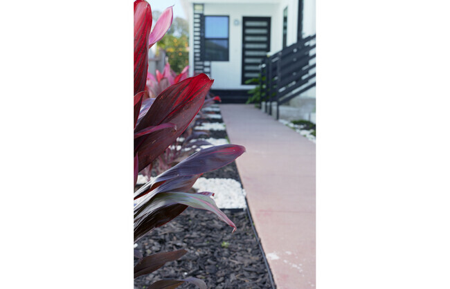 Building Photo - 6106 S Fairfax Ave Unit 6106 S Fairfax Ave  A Rental