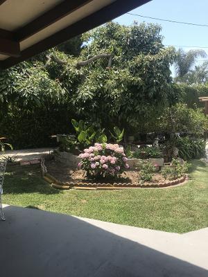 back yard - 11907 Brookhaven Ave Unit studio