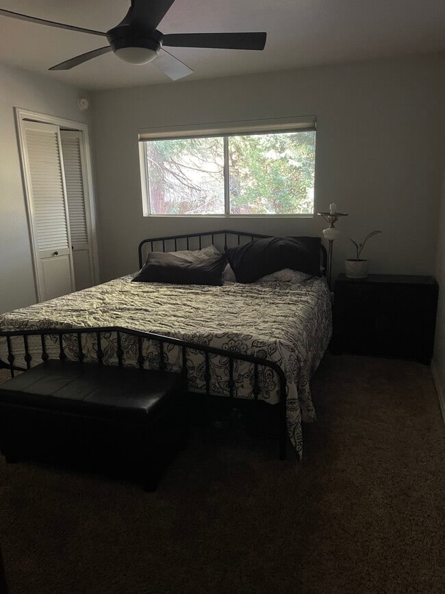 Building Photo - 2446 Spring Oak Dr