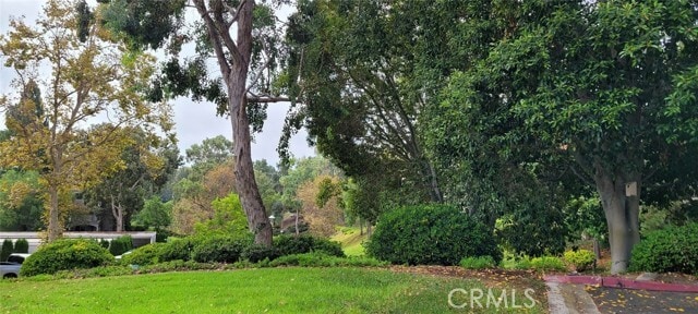 Photo - 4009 Calle Sonora Oeste Unit 3A