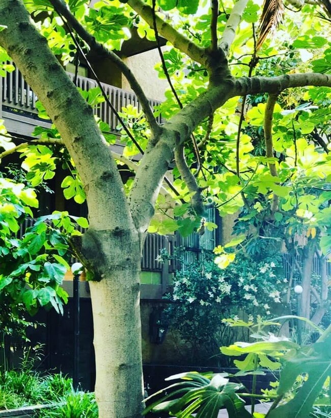 Photo - Fair Park Terrace Apartments