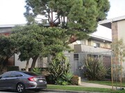 Photo - Venice Dreams