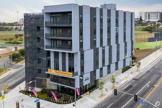 Primary - The Charlie Echo Park