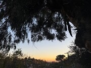 Photo - 2315 Loma Vista Pl