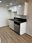 SINK AREA - The Newporter Apartments