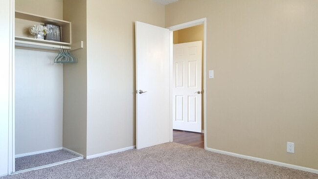 Photo - Palma Imperial