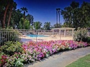 community pool - 41785 Largo House