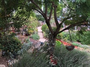 Photo - 3065 Third Ave Unit 1