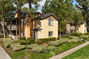 Felicita Creek Apartments - Elan Felicita Creek