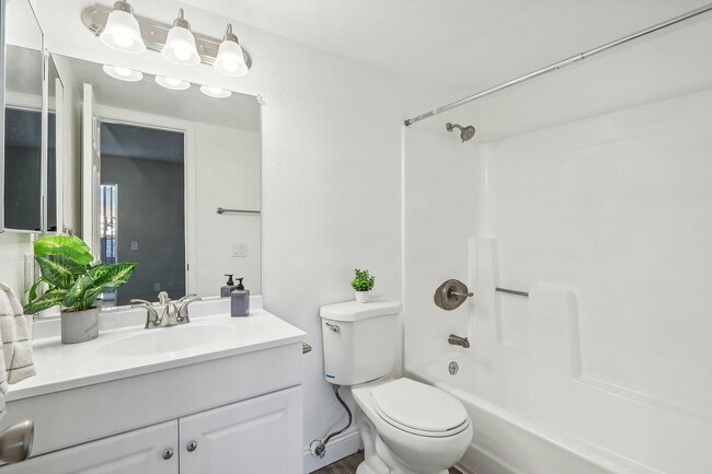 Bathroom View - Date Palms