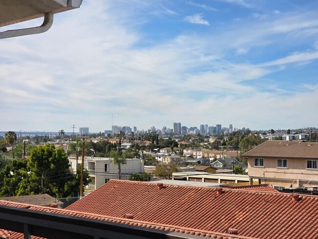 Photo - Vista Palmera