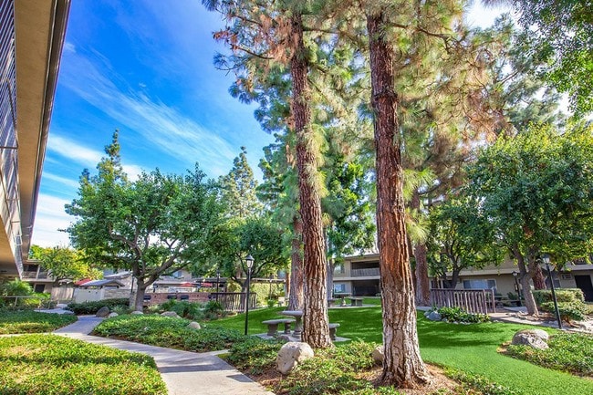 Photo - Saddleback Pines Apartment Homes