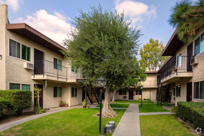 Photo - Los Arboles Apartments