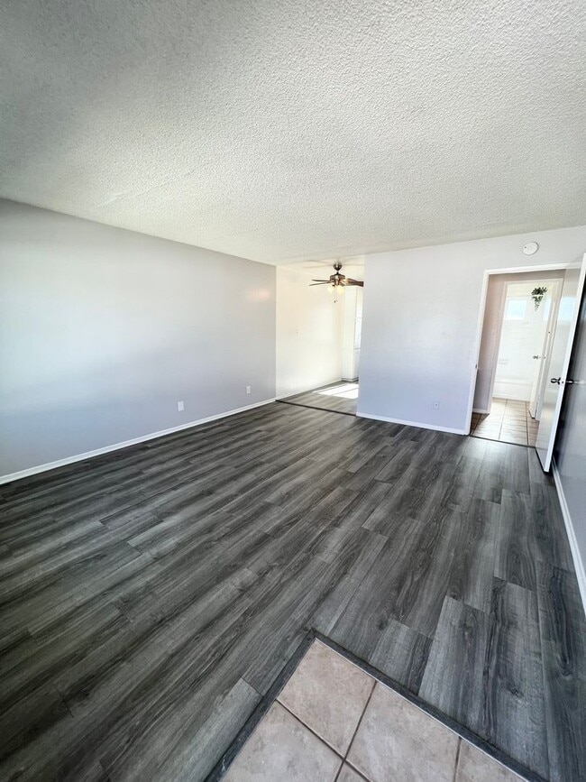 Photo - ANZA 2 (Auldin Arms)