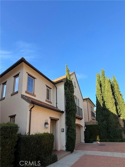 Photo - 53 Rockcress