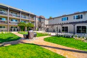 Photo - The Olive Tree Apartments