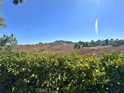 Photo - 1535 Summitridge Dr