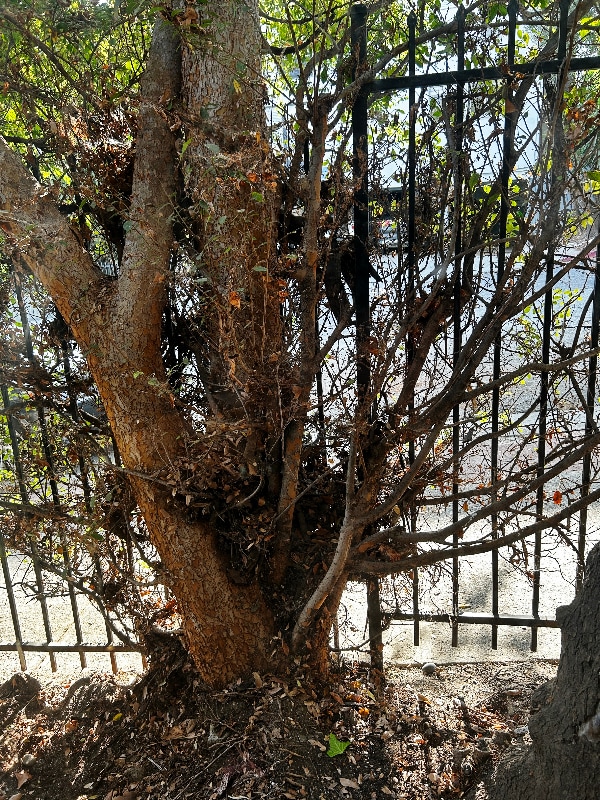 Photo - 1850 La Brea Ave Unit 5