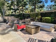 Photo - 6 Carpenteria