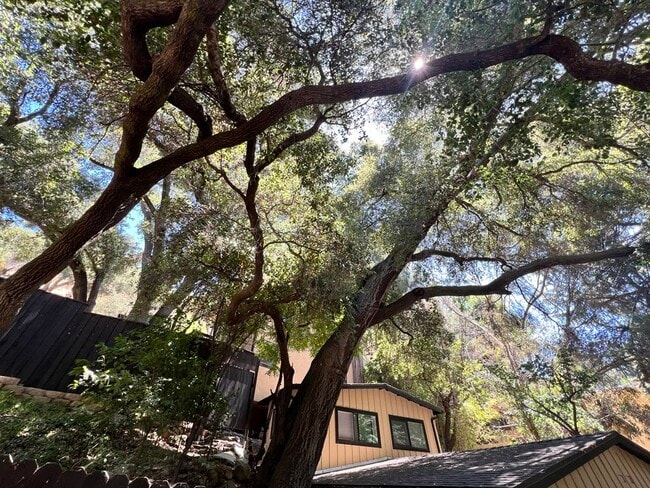 Building Photo - 1200 Old Topanga Canyon Rd