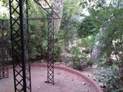 Backyard - 6601 Louise Ave